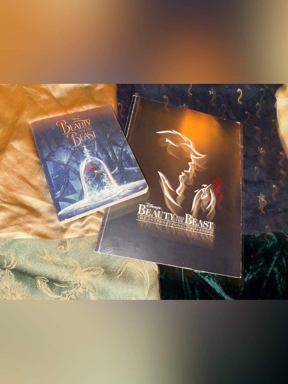 Disney Beauty and the Beast Story Book & Musical Program Book
